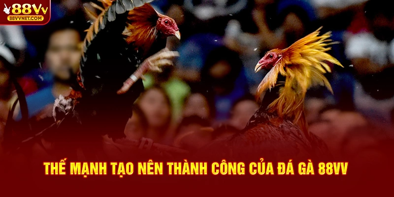 Thế mạnh tạo nên thành công của đá gà 88VV